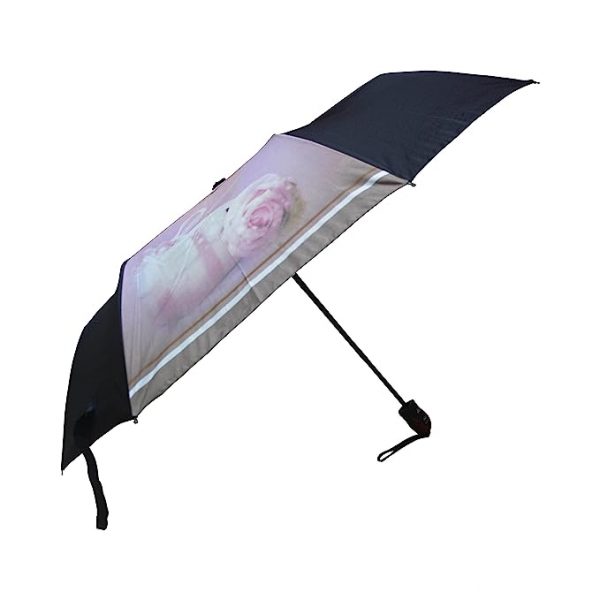 Murano Millie Auto Open 3 Fold Printed Ladies Umbrella