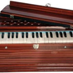 SG Musical Harmonium for kids 12 years